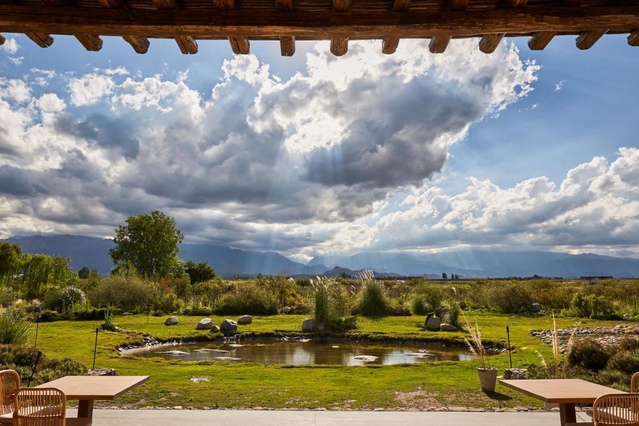 Casa De Huespedes Bodega Gimenez Riili Hotel Los Sauces  Exterior photo